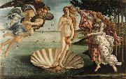 Sandro Botticelli The Birth of Venus (mk08) oil painting